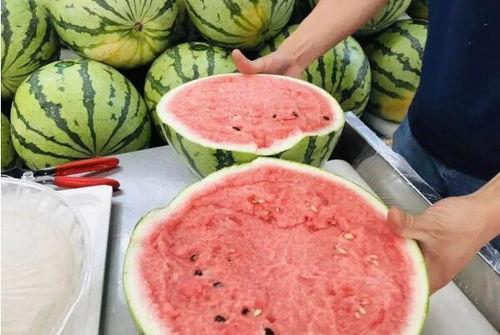 吃瓜和西瓜的区别  第2张